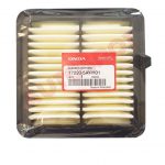 AIR FILTER - A17220-5AY-H01