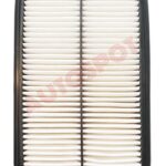 AIR FILTER - A28113-2W300